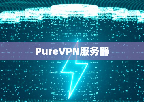 PureVPN服务器