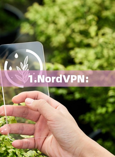 1.NordVPN:
