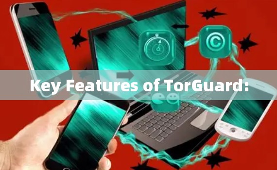 Key Features of TorGuard: