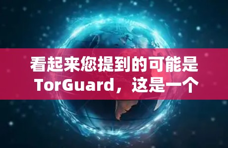 看起来您提到的可能是 TorGuard，这是一个用于保护网络攻击的软件服务。TorGuard是一个免费的 Tor 防御服务，允许用户在需要时使用加密网络来保护自己的数据和网络安全