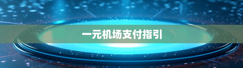 一元机场支付指引