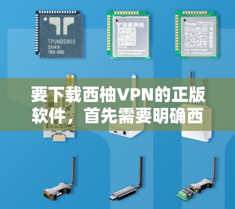 要下载西柚VPN的正版软件，首先需要明确西柚VPN的合法性和合法性。如果用户对西柚VPN的合法性有疑问，建议用户通过可靠的网站进行验证，或者直接访问官方官网，看看是否提供正版软件下载