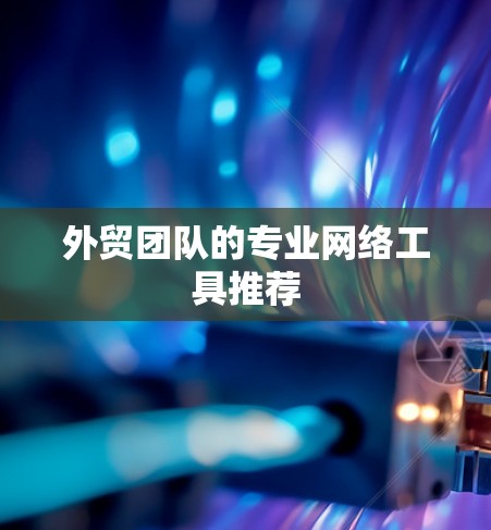 外贸团队的专业网络工具推荐