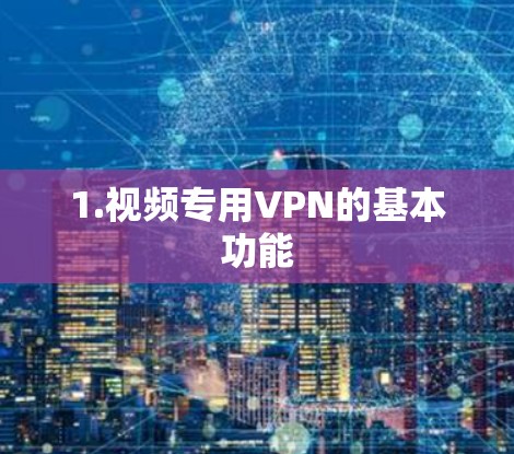 1.视频专用VPN的基本功能