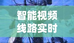 智能视频线路实时监控与故障检测系统 智能视频线路实时监控与故障检测系统