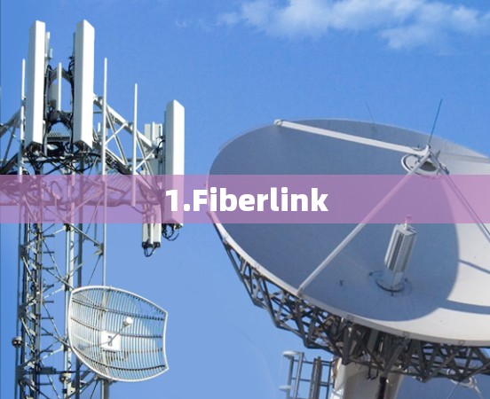 1.Fiberlink 1.Fiberlink