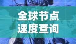 全球节点速度查询工具通常用于检测网络上的攻击行为，比如DDoS攻击、钓鱼邮件攻击等。以下是一些常用的全球节点速度查询工具