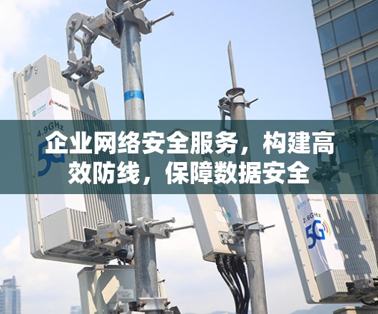 企业网络安全服务，构建高效防线，保障数据安全