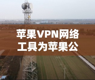 苹果VPN网络工具为苹果公司用户提供了在线访问苹果公司服务器、视频会议和文件下载等功能，旨在帮助用户访问外部网络。以下是这些工具的详细介绍