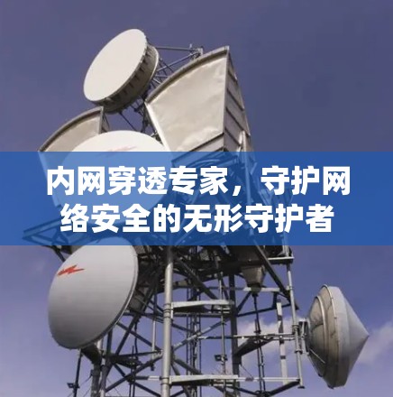 内网穿透专家,守护网络安全的无形守护者 内网穿透专家,守护网络安全的无形守护者