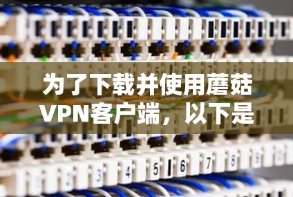 为了下载并使用蘑菇VPN客户端，以下是一步步的指南