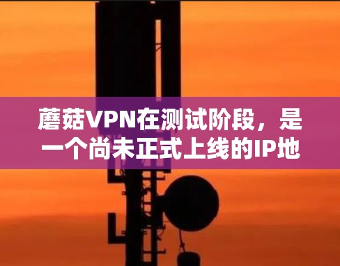 蘑菇VPN在测试阶段，是一个尚未正式上线的IP地址，主要基于GPT-3协议，可能在安全性和稳定性方面还有待优化。以下是关于蘑菇VPN线路测试的一些关键信息和考虑因素