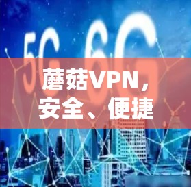 蘑菇VPN，安全、便捷、放心