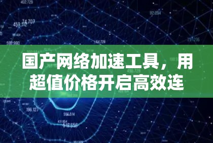 国产网络加速工具，用超值价格开启高效连接