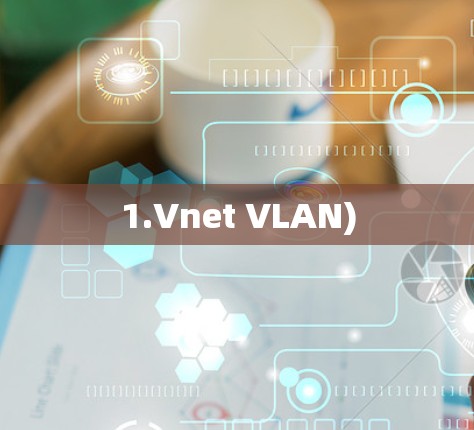1.Vnet VLAN)