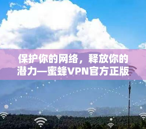 保护你的网络，释放你的潜力—蜜蜂VPN官方正版软件