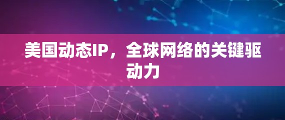 美国动态IP，全球网络的关键驱动力