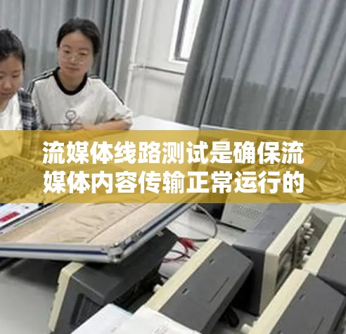 流媒体线路测试是确保流媒体内容传输正常运行的重要步骤。以下是流媒体线路测试的主要方法和步骤