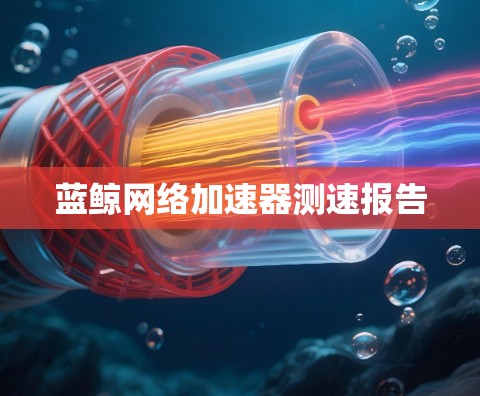 蓝鲸网络加速器测速报告
