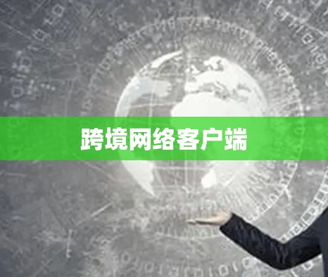 跨境网络客户端 跨境网络客户端